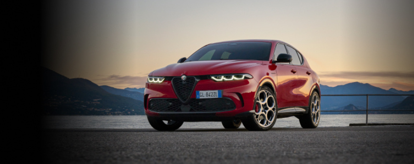 Vogl-und-Co-Header-Tonale Sorglos Aktion